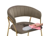 Kamelia 1 cappuccino / gold купить