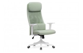 Кресло Salta light green / white